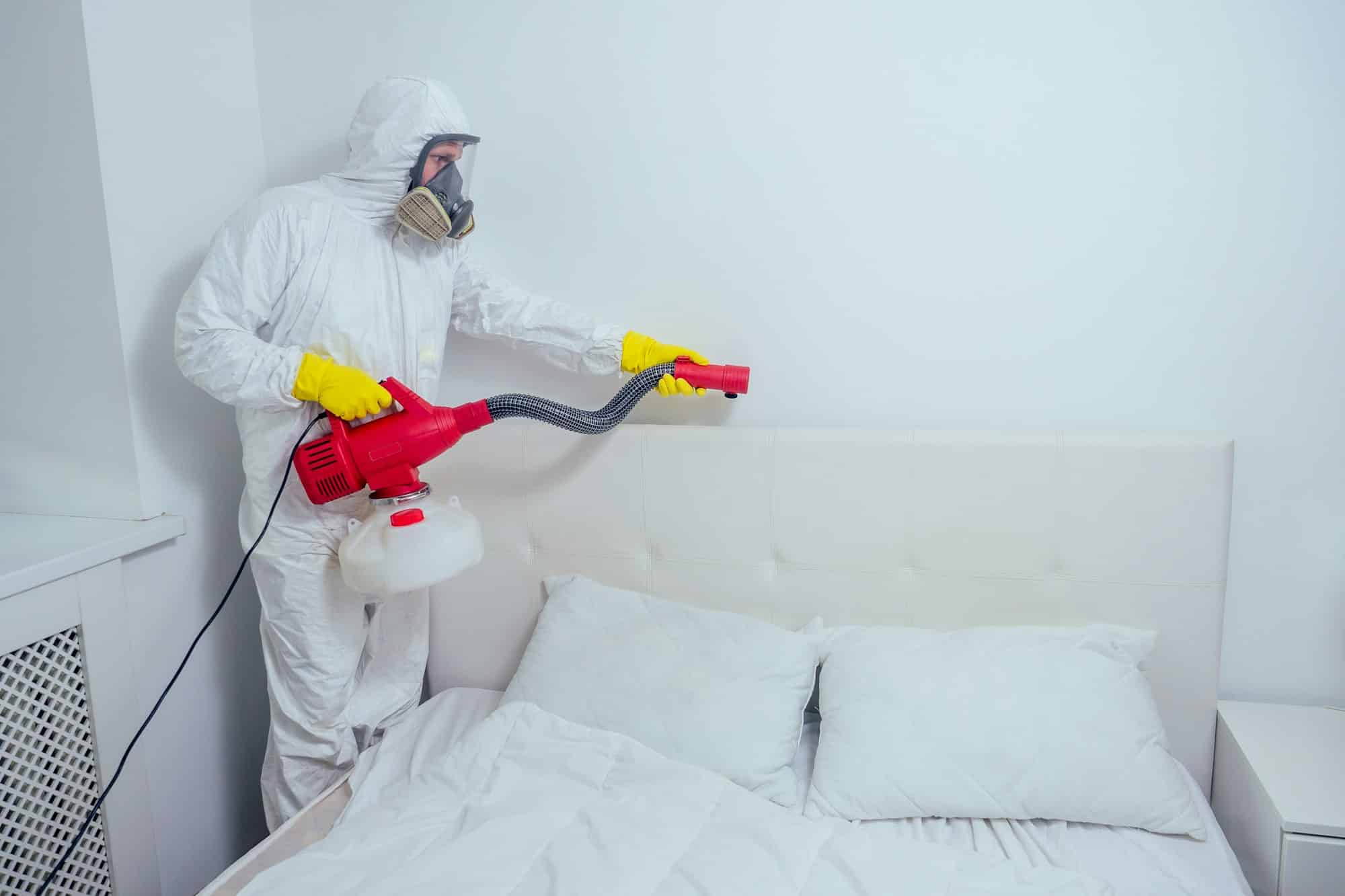 pest control worker lying on floor and spraying pesticides in bedroom