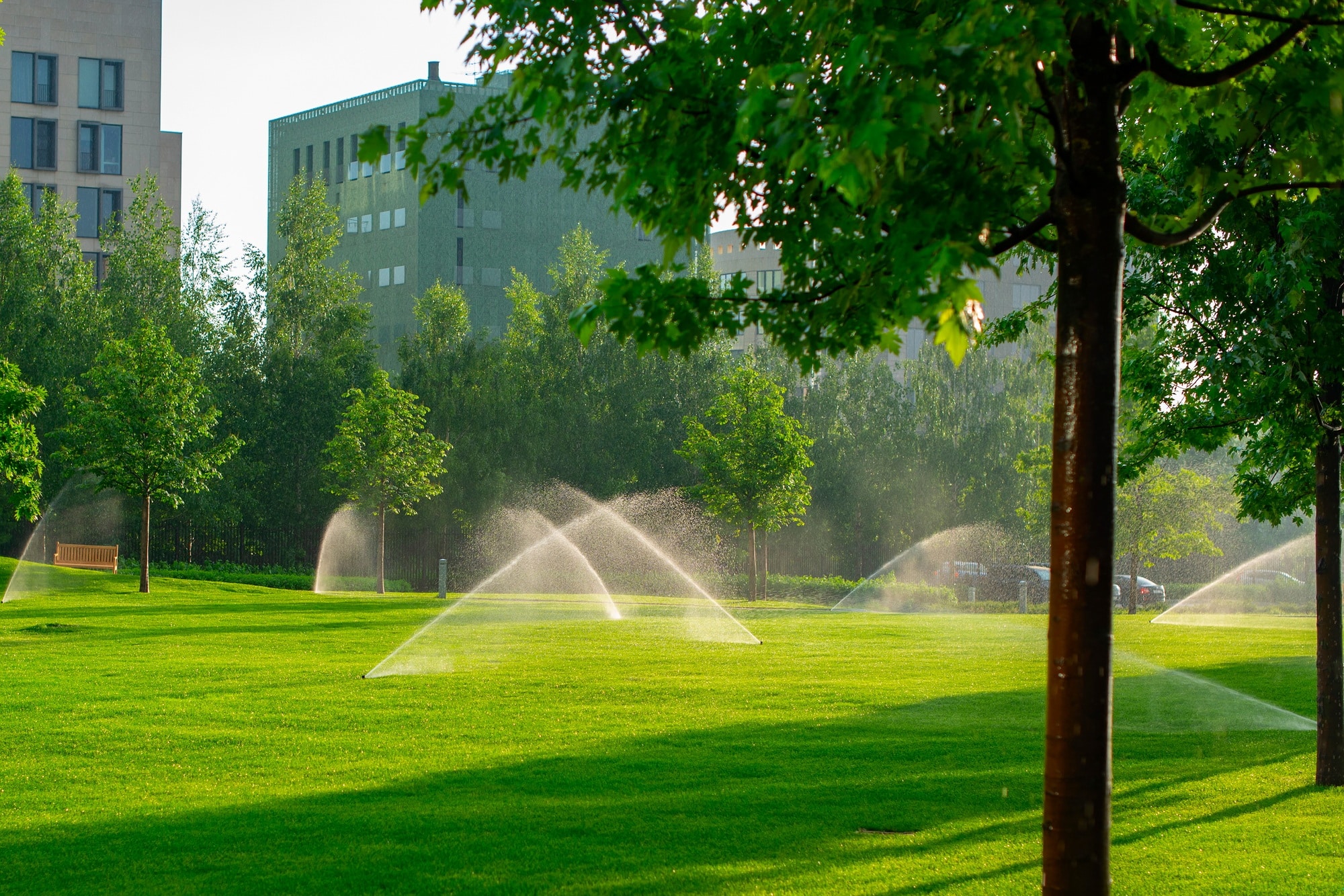 lawn with automatic watering system