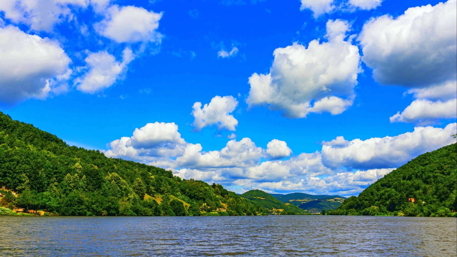 Scenic view of the Tennessee River surrounded by lush, green foliage