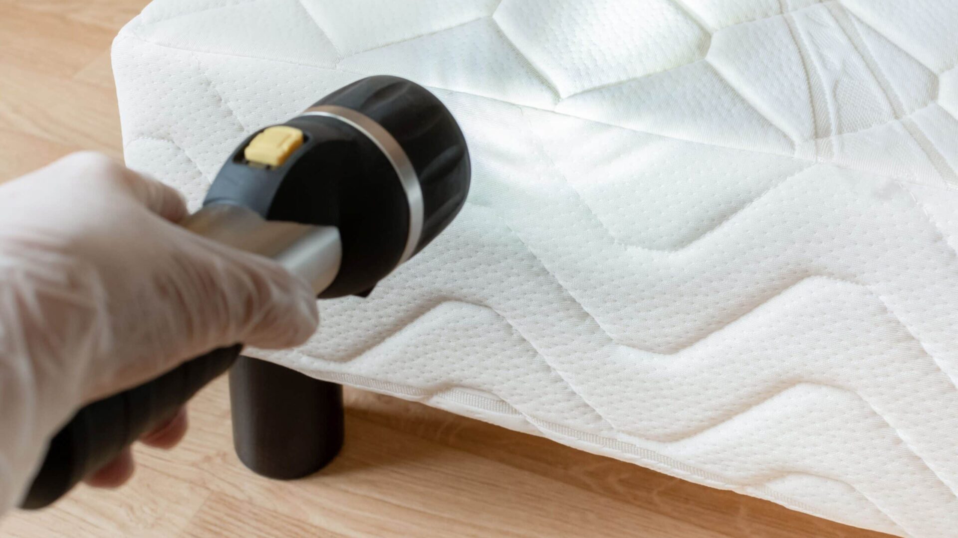 A bed bug detection device being used to inspect for infestations