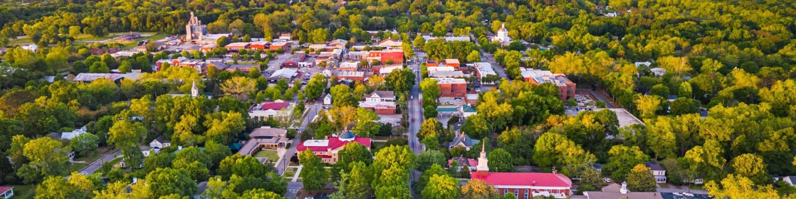 Panoramic view of a residential neighborhood in Madison, Alabama, highlighting the need for lawn care and pest control servic