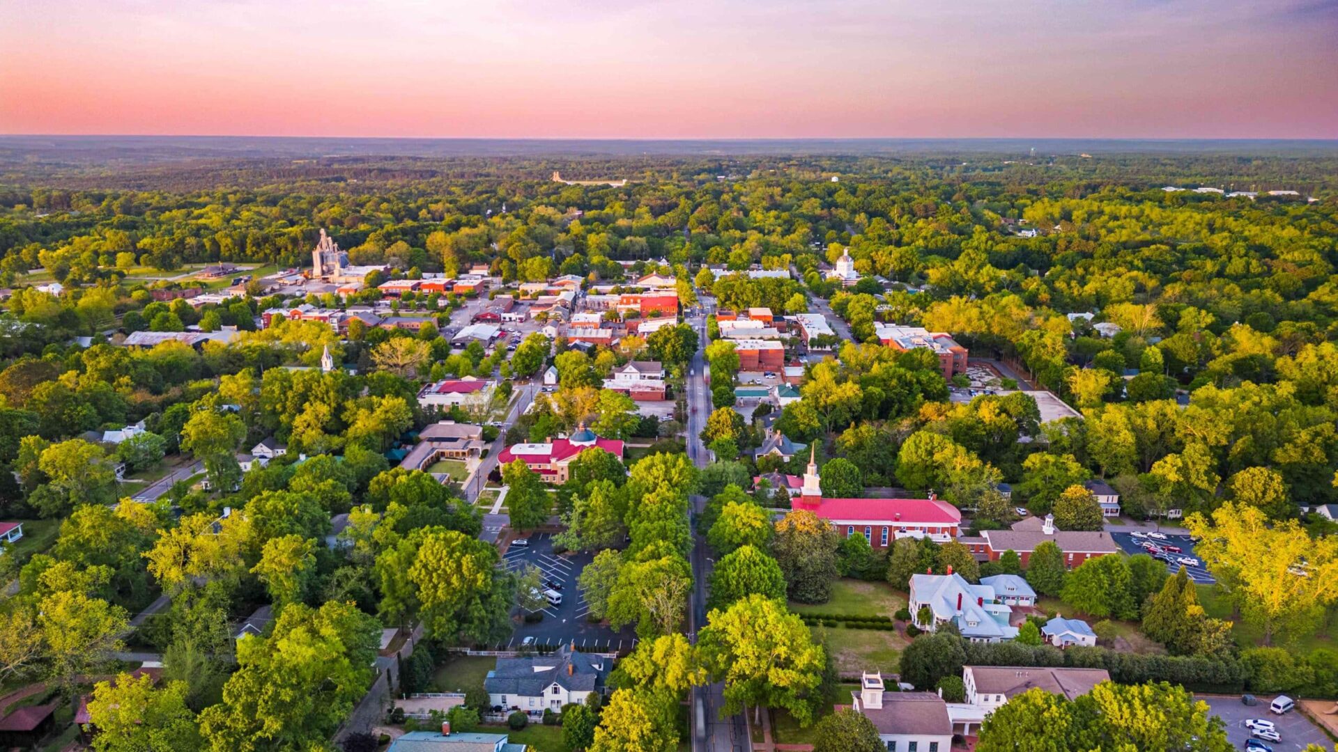 Panoramic view of a residential neighborhood in Madison, Alabama, highlighting the need for lawn care and pest control servic