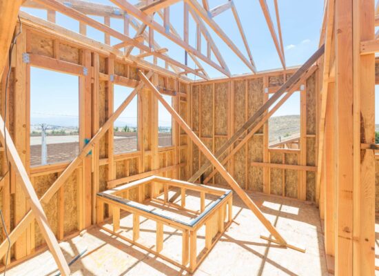 Internal framing of a new house, pest focus